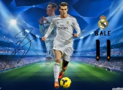 PG电子娱乐官网下载-梅赛德斯策略碾压法拉利，诺里斯高光表现点燃赛场