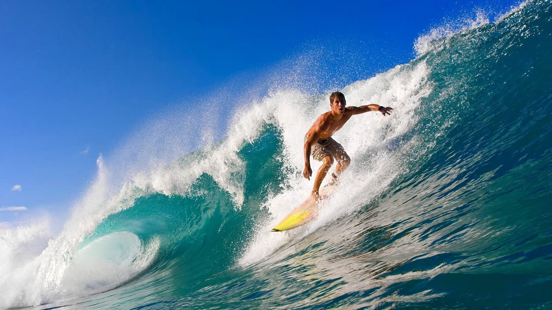 欧冠半决赛焦点战,广东队终结开拓者